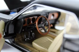 İç panel ve direksiyonu